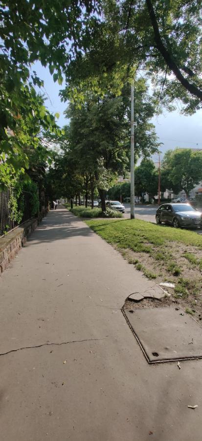 Dorothy Apartment Near Budapest City Park 외부 사진